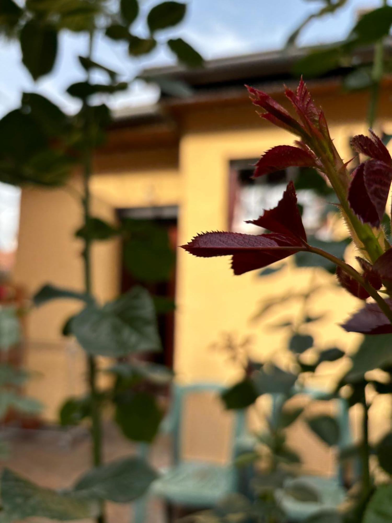 Villa Residential Old Town Sarajevo