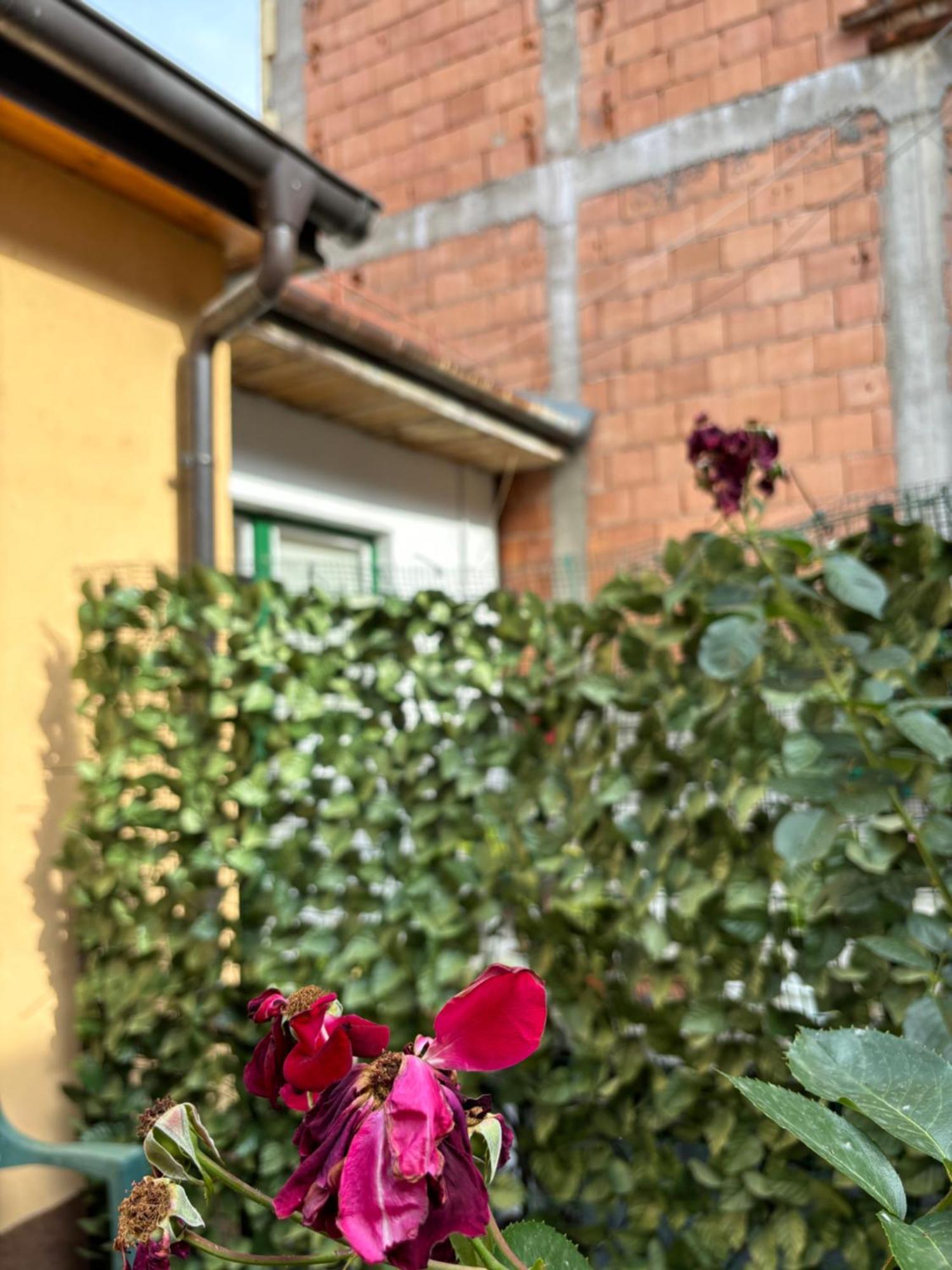 Villa Residential Old Town